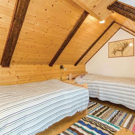 Apartman"Zibar" Skrad Εξωτερικό φωτογραφία